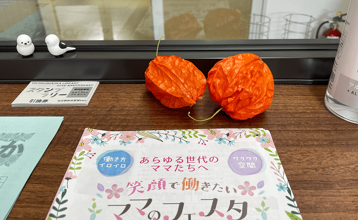 ほうずきをいただきました。